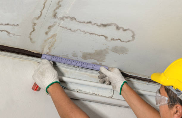 Reliable Water Damage Repair contractor in Montague, CA by Hirex Water Damage